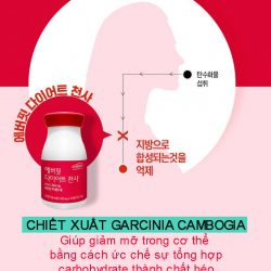 Combo thuốc giảm cân toàn thân Everfit Diet Natural Plus Hàn Quốc