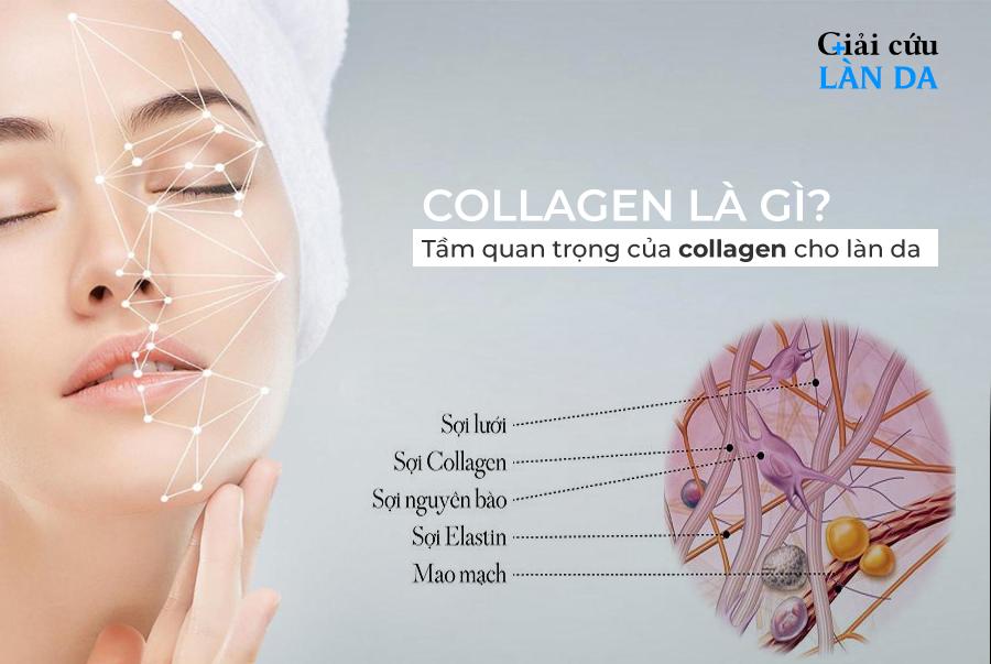 4. Collagen và sức khỏe tim mạch